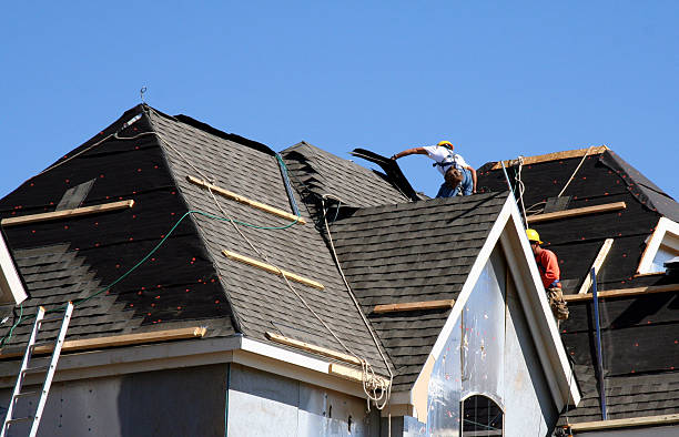 Best Gutter Installation and Roofing  in Fenton, MI