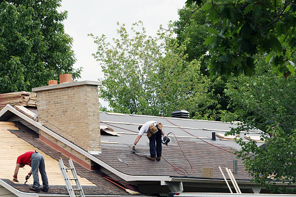 Best Roofing Contractor Near Me  in Fenton, MI