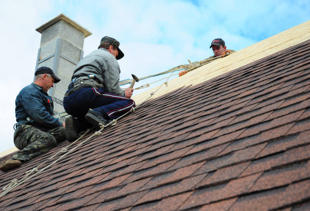 Best Metal Roofing Contractor  in Fenton, MI